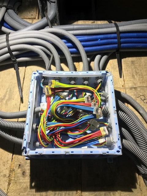 Raccordement des circuits électriques Boîte de dérivation électrique ouverte entourée de gaines et de conducteurs multicolores.